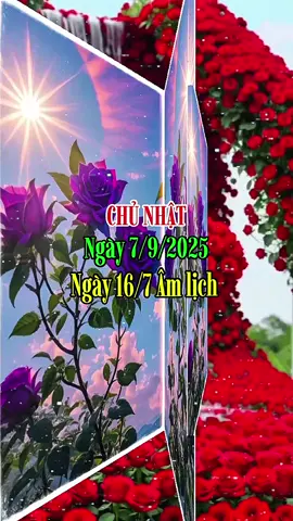 Chào Ngày Mới #ngaymoivuive 