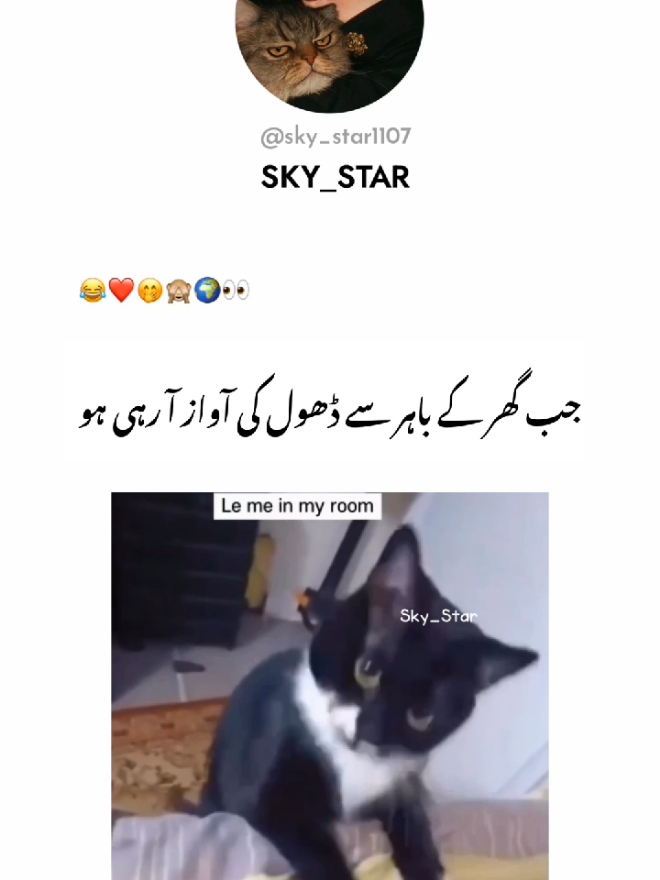 please tiktok team unfreezemyaccount 💔🙌🏻 #foryou #fypシ゚viral #viralvideo #funnycat #viewsproblem 