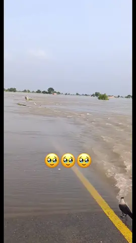 #nomijutt_kwt 