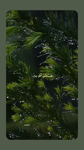 سبحان الله