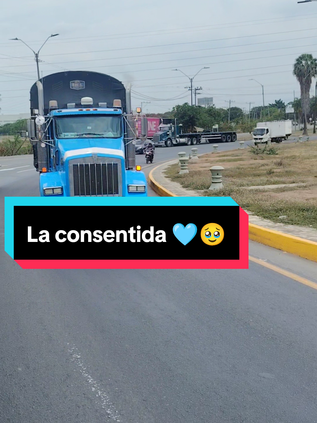 #almejorestilocamionero💥🇨🇴🚛💯♥️😎 #viralvideos #viralvideotiktokparati #laconsentida 🥹🥹