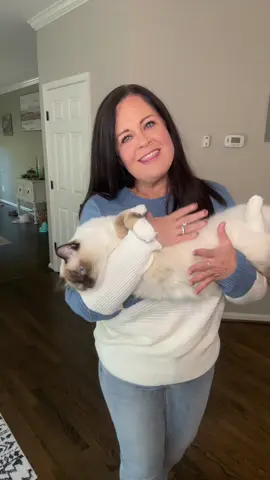 This cat DNA test cannot only tell you your cats story and the breeds that make up their origin, but also health problems they may be predisposed to and whether or not they are at risk for dental disease! We do DNA test tests for ourselves why not our cats? #CatDNATest #CatBreed ##CatBreeds #CatDNA #PetDNATest 