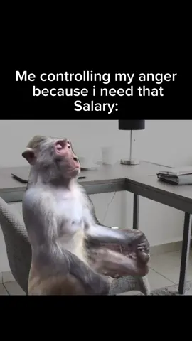 I need this Job #Meme #workmemes #fyp 
