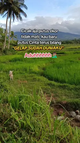 #katakata #cumahiburan #trend #fyp 