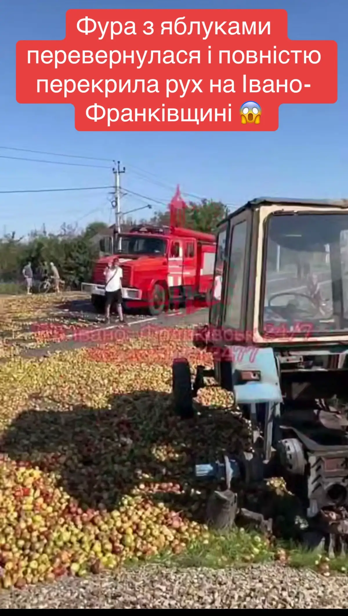 #новинидня #news #fyp #viral 