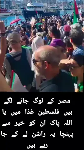 ویڈیو دیکھنے والے اس کو اوپر مت کرنا اس کو لائک اور شیئر کرنا کیونکہ یہ غزا اور فلسطین کی ویڈیو