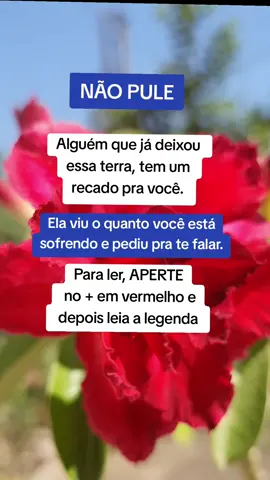 #marciasensitiva #tarot #signos #numerologia 