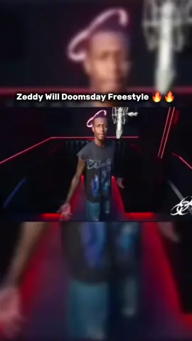 zeddy power ⚡