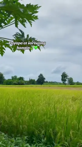 🍃💚#probinsya #fyp #trending 