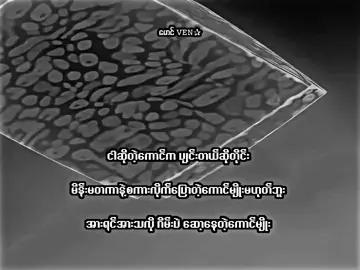 သိဖို့🗿. . . . . .. . .#mgven #mg_ven2006 #xyzbca #lyrics #xyzbcafypシ 