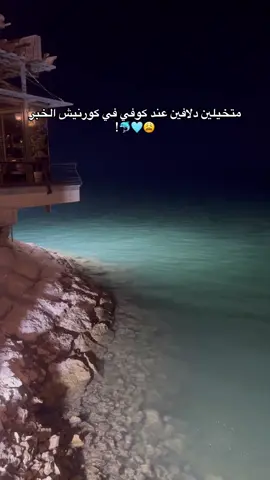 يجننون كيف يستعرضون ويلعبون مع بعض?? #دولفين #دلفين #اكسبلور #كورنيش_الخبر  #dolphin 