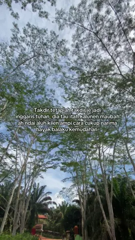 🥀🥀 #fyp #lagudayakngajukalteng 