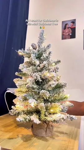 Ang cute ng Snow Light mini Christmas Tree. 🎄  #minichristmastree #christmasdecor #christmassnowlight #christmastree 