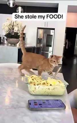 Funny and hungry #funny 