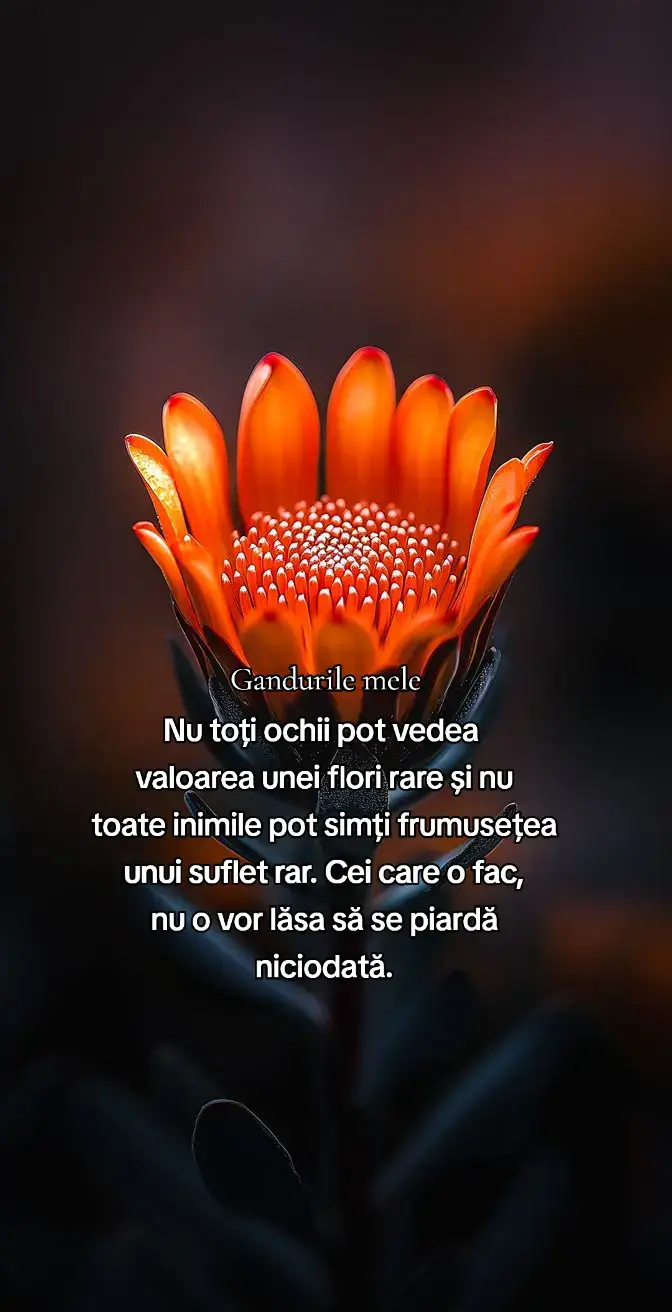 #gandurilemele 