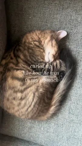#mybaby 