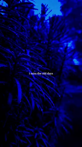 song: “i miss the old days” –  @i used to be happy 