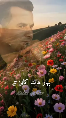 #xelatqehar #abdulqahar_zaxoy #ebdulqaharzaxoyi #عبدالقهار_زاخویی #ebdulqeharzaxoyi 