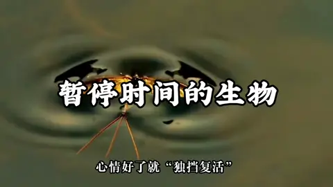 #科学 