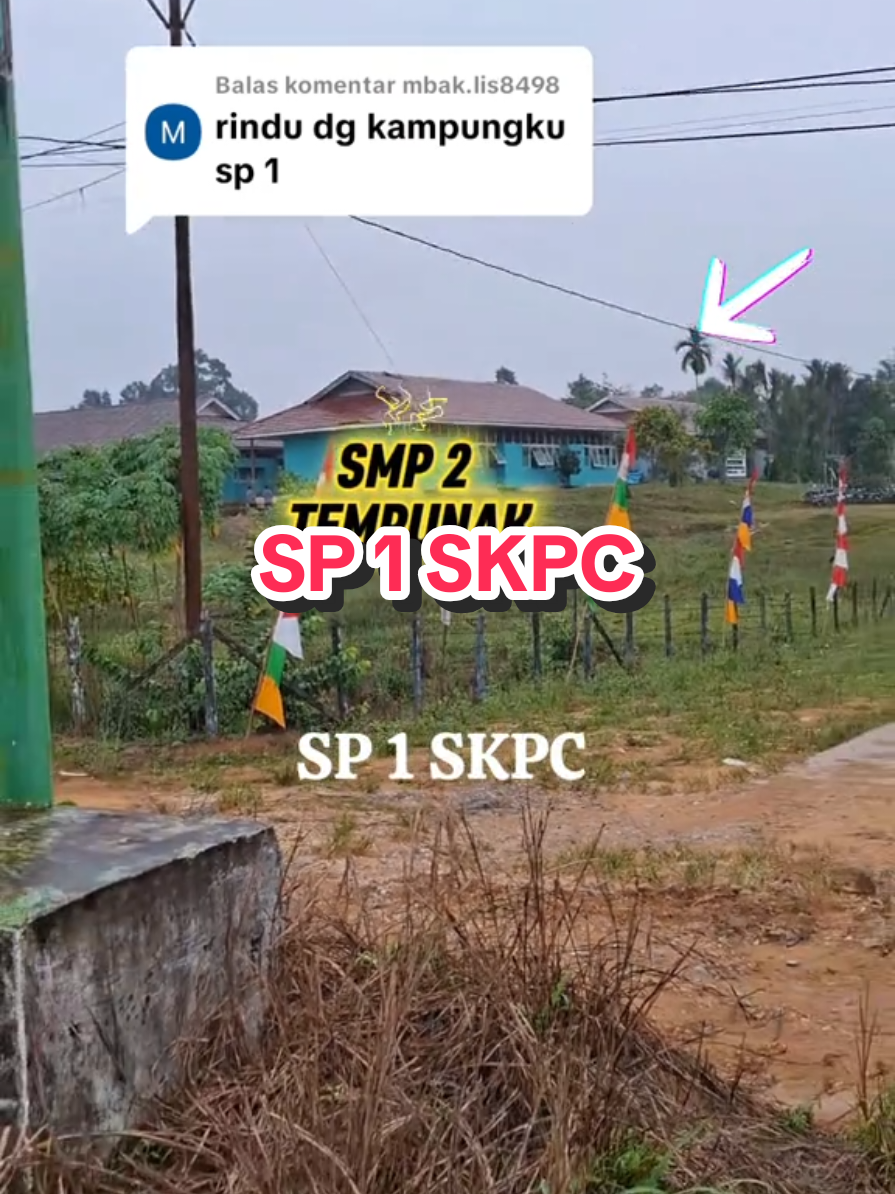 Membalas @mbak.lis8498 Alumni tahun brp kalian??? Siapa aja nih yang pernah sekolah di smp 2 tempunak?  #smpnegri2tempunak #skpc #skpcsp1 #tempunak #sintang 