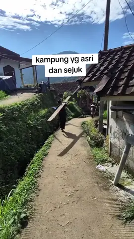 suasana bikin tentram #kedamaian  #suasanapedesaan  #kampungindah  #persawahan  #pegunungan 