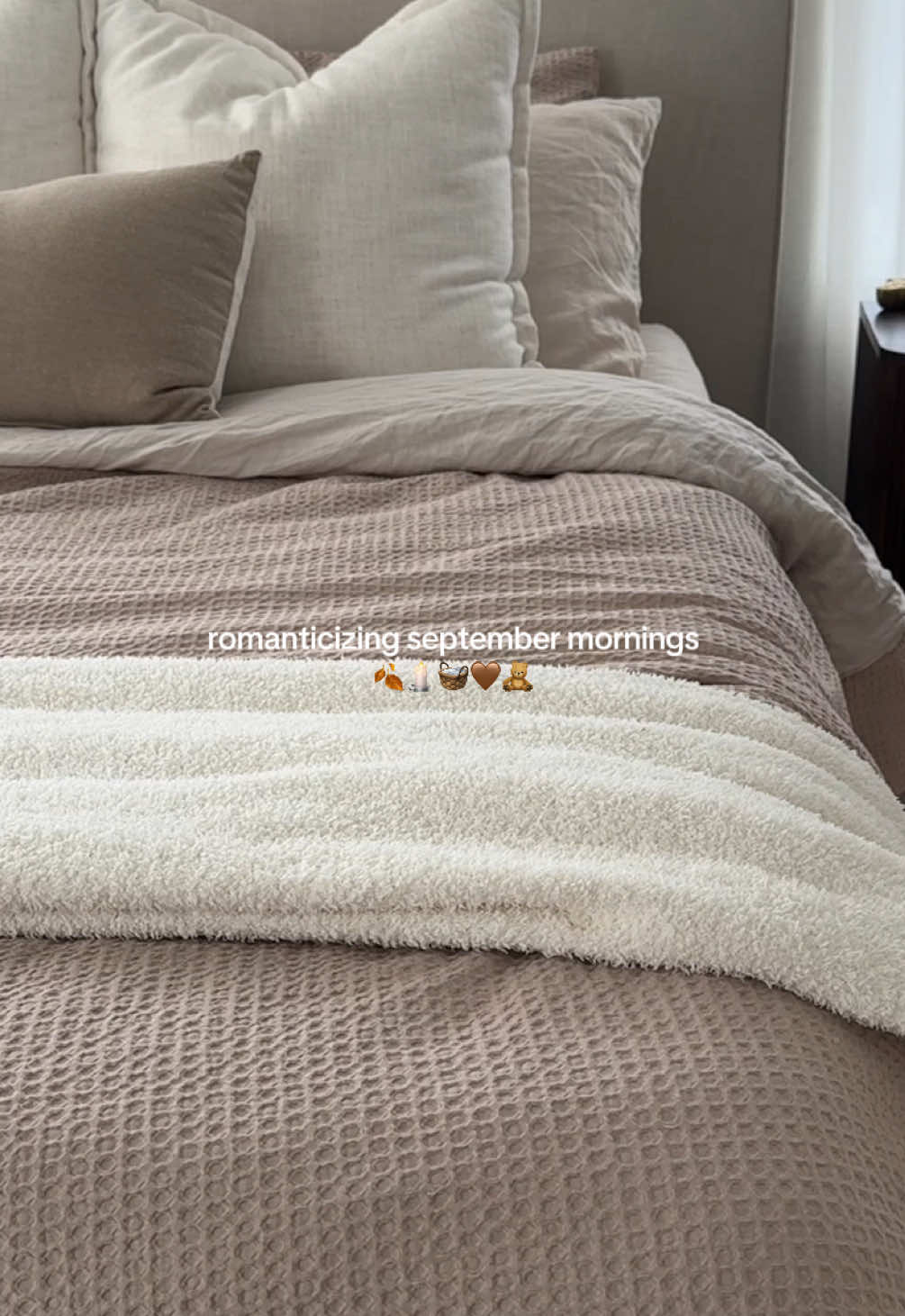 september mornings feel like a warm hug 🤎🧸☕  @onequince @dedcool @American Eagle @Nespresso @Anthropologie  #falltok #cozyaesthetic #septembermornings #cozyroutine #autumnaesthetic 