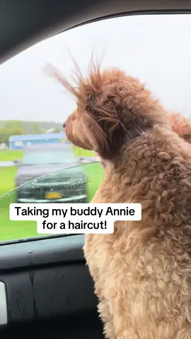 Annie hasn’t had a hair cut since Lake Placid!  
