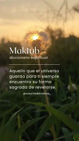 ✨ Maktub es una palabra de origen árabe que significa “está escrito”. Nos recuerda que lo que vivimos no es azar, sino parte de un destino que el universo guarda para nosotros. 🌌 En la espiritualidad, Maktub es confiar en que todo lo que sucede tiene un propósito mayor, incluso cuando no lo entendemos en el momento. 🌿 Vivir desde Maktub es soltar la resistencia y abrirnos a la certeza de que cada experiencia forma parte del camino del alma y de nuestra conexión con el universo. #Maktub #DiccionarioEspiritual 