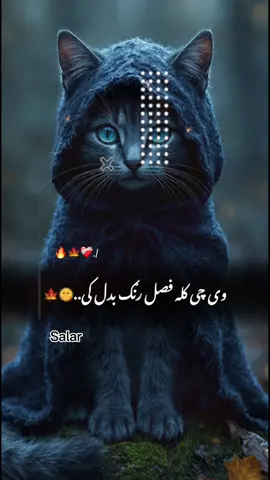 #CapCut Hu sir 🤚🖤 #تمپلیت_جدید  نو بېا یی پریده  پـــوې شوې🥺❤️#تمپلیت_جدید #رپ_پشتو رپ_فارسی اهنګ_پشتو اهنک_افغانی  اهنک_ایران_غمگین_غاشقان creatorsearchinsights #oo__3salar_afg 