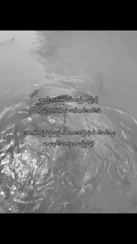 နင်တို့မာနထားတယ်ဆိုလဲ ငါအိပ်နေသလောက်ပဲရှိတယ်🙂‍↔️ #rechal_k #07