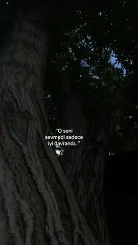 #apoyews1 