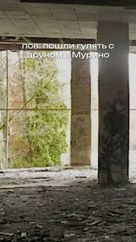 #fyp #мурино #друн #фог drun is coming 🥵🥵😳