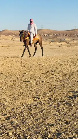 ماشاء الله##اكسبلور_الحجايا_الحسا_بدو_الجنوب #ترندات_تيك_توك_جديدة #بدوالجنوب🇯🇴 #المناعيين 