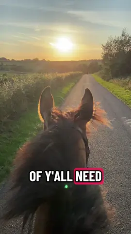 Some people need to give their head a rattle 😂🐴 #horsesoftiktok #equestrianlife #equestrian #horsetok #horsegirls 