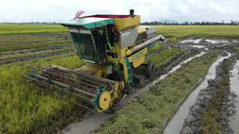 Trip ni jatuh #fyp #onthisday #sawah #bendang #kedah 