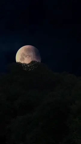 سورة #القيامة : فَإِذَا بَرِقَ الْبَصَرُ (7) وَخَسَفَ الْقَمَرُ (8) #ياسر_الدوسري #القرآن #quran #القمر
