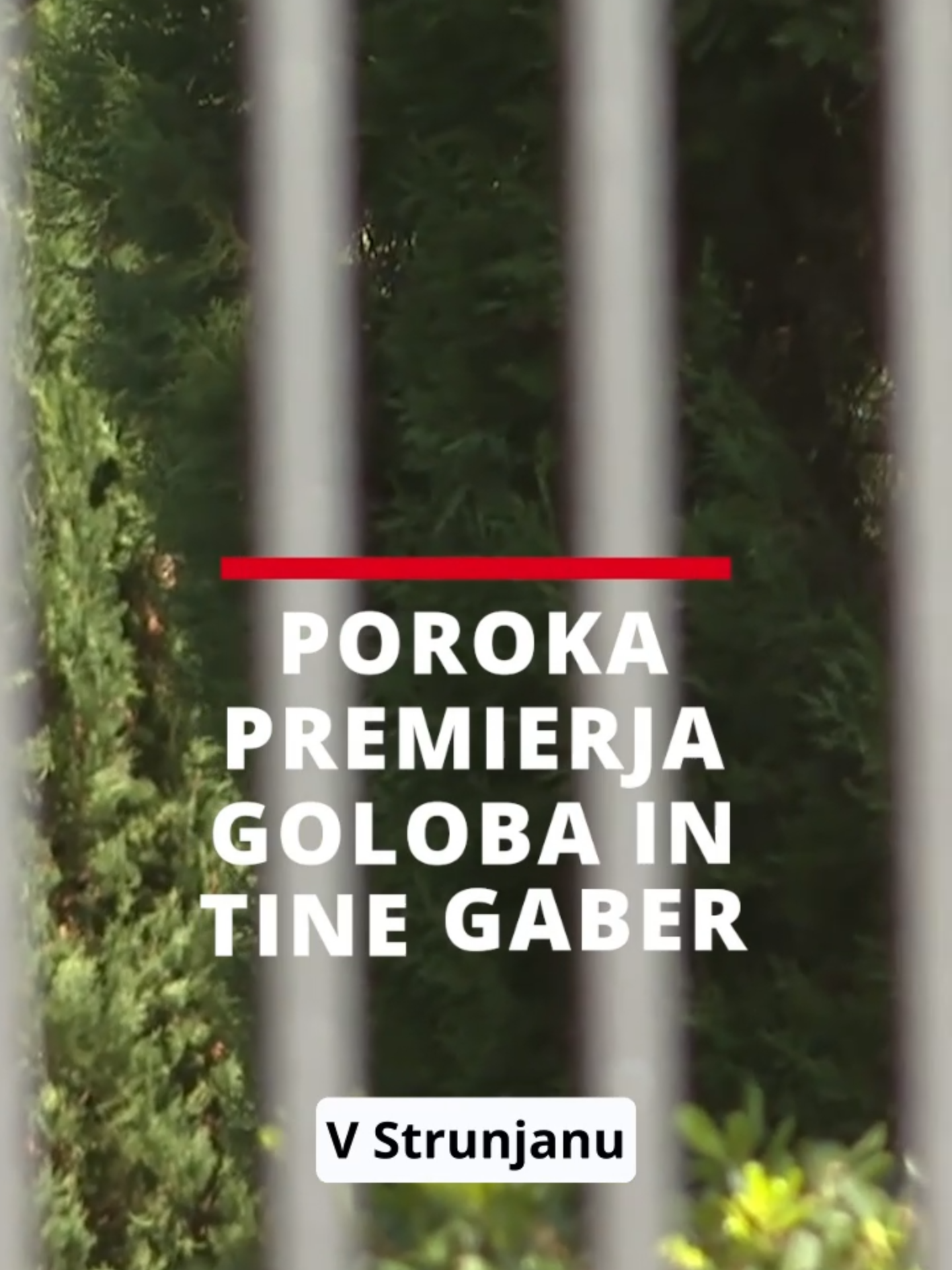 Prvo septembrsko soboto letos bo zaznamovala tako imenovana poroka leta: večno zvestobo si bosta obljubila premier Robert Golob in njegova partnerica Tina Gaber. Zaobljube si bosta izmenjala v Strunjanu, v vili Tartini.