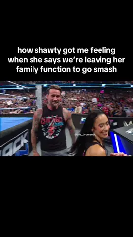 🤗 #WWE #wwememes #cmpunk #ajlee #CapCut 