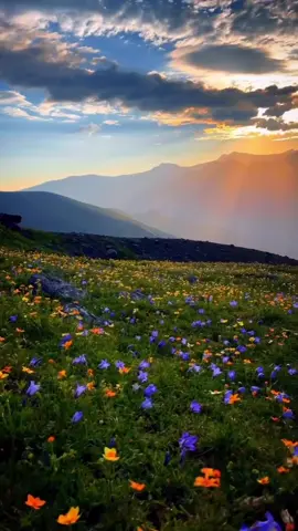 ☘️🙏🪷Biết đủ sẽ bình yên hạnh phúc ☘️