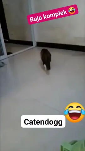 inilah si Jagoan Kita oyen