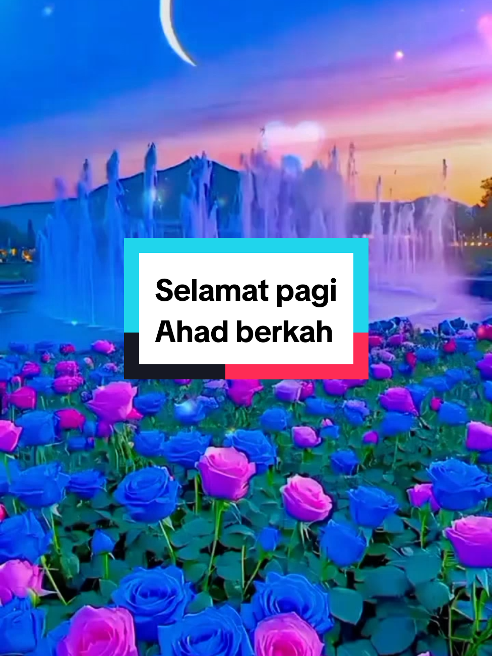 #bismillahirrahmanirrahim🤲🤲 #assalamualaikumsahabathatiku❤️❤️❤️🙏🙏 #doaterbaikuntukkitasemua🤲🥰🥰🥰 