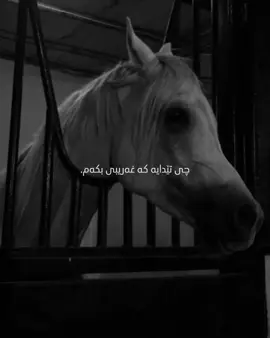 🖤#foryou #foryoupagе #actives? 