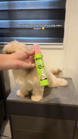 no more amoy wiwi na! di na mangangamoy kahit nasa labas 😅 