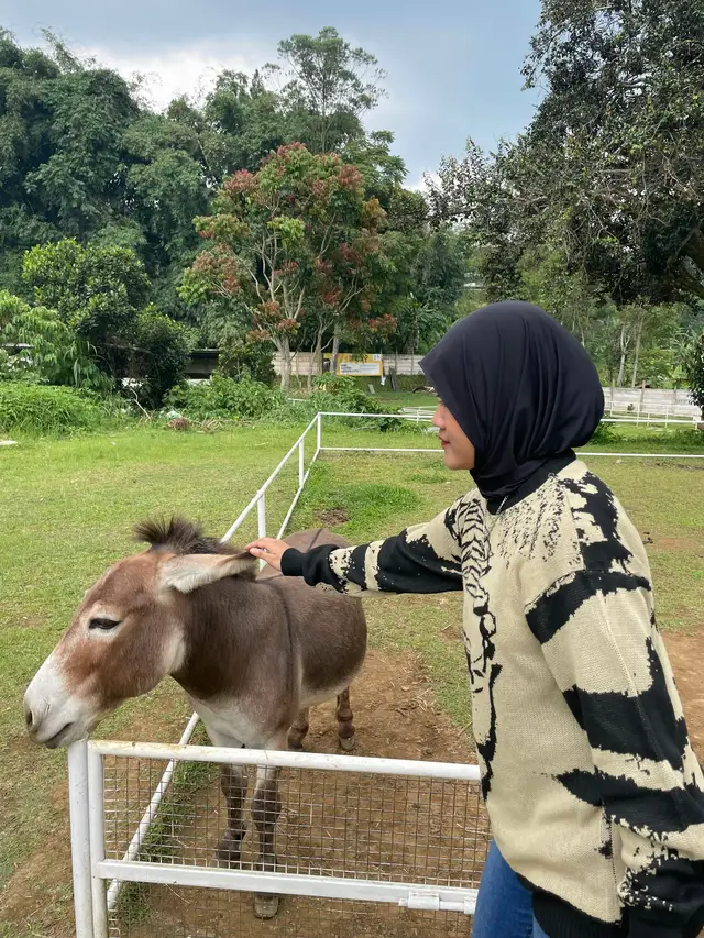 #fyp#fypage#lembang#lembahdewatalembang 
