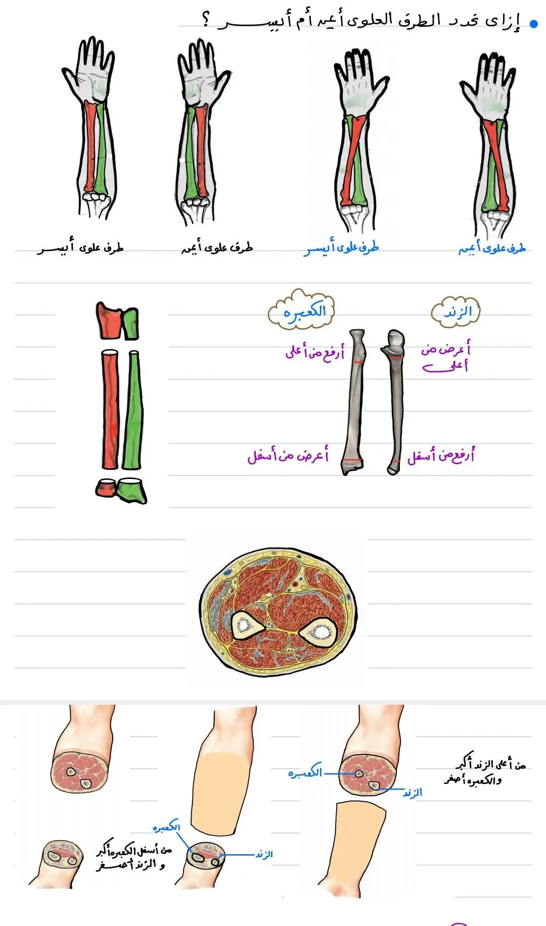 #احياء ثانوية عامة 