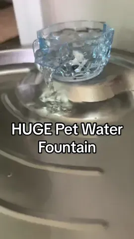 Quiet, clean, and huge—perfect for multiple pets 🐾 #petwaterfountain #petproducts #dogtok #dogowners #petcareessentials 