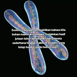 Secara biologis, evolusi manusia dimulai dari nenek moyang primata sekitar 6–7 juta tahun lalu ketika garis keturunan kita terpisah dari simpanse. Melalui proses seleksi alam, terjadi perubahan bertahap pada bentuk tubuh, otak, dan cara hidup. Australopithecus misalnya sudah berjalan tegak, tetapi otaknya masih kecil. Kemudian muncul Homo habilis yang mulai menggunakan alat batu, diikuti Homo erectus yang memiliki tubuh lebih proporsional dan menyebar keluar dari Afrika. Pada tahap berikutnya, Homo neanderthalensis hidup di Eropa dan Asia dengan kemampuan sosial yang kompleks, sementara Homo sapiens—spesies kita—berkembang dengan otak lebih besar, bahasa simbolik, dan kebudayaan yang terus berkembang. Semua perubahan itu tidak terjadi dalam sekali loncatan, melainkan melalui mutasi genetik, rekombinasi, dan adaptasi terhadap lingkungan yang berubah-ubah. Dengan kata lain, manusia modern hanyalah hasil dari rangkaian panjang eksperimen biologis alam. #CapCut 