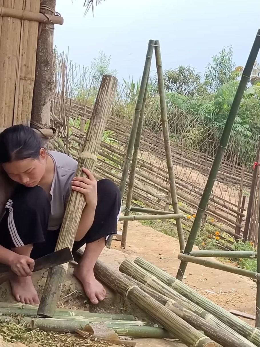 A single mother and her son make a bamboo swing, a day of working and playing with them