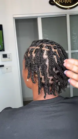 Shampoo, Trim and Twist #twostrandtwist #humanhairtwist #curlyhair #naturalhair #twistouttutorial 