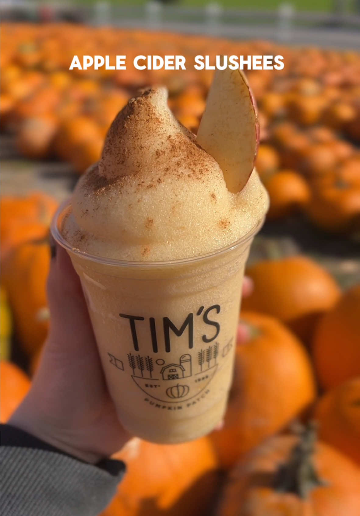 Which one do you want to try?  Available everyday until Halloween  here at Tim’s Pumpkin Patch 🎃  Hours (EVERYDAY August 30th-Halloween): 9am-7pm Fridays 9am-6pm Saturday-Thursday 📍 Tim’s Pumpkin Patch 2901 Rose Hill, Marietta NY  #pumpkinpatch #upstateny #fall #falldesserts #fallbaking 
